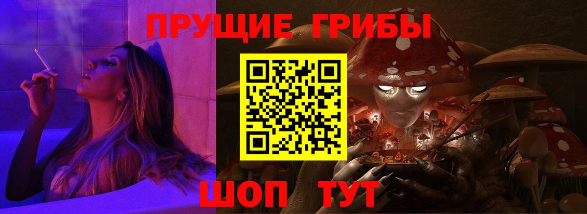 Пугачёв  Псилоцибиновые грибы прущие грибы  Псилоцибиновые грибы GOLDEN TEACHER  Вход с VPN 