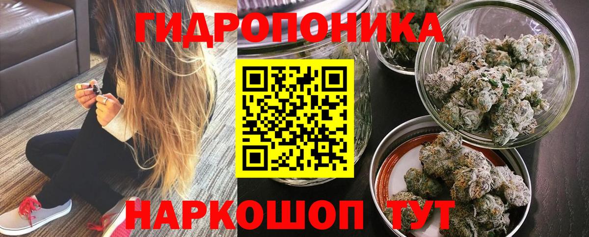 Шишки марихуана THC 21% Пугачёв